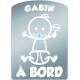 Plaque de voiture transparente GABIN