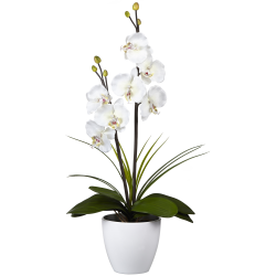Lampe LED orchidée blanche dans pot rond