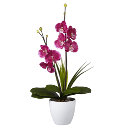 Lampe LED orchidée rouge dans pot rond