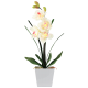 Lampe LED orchidée blanche dans pot carré