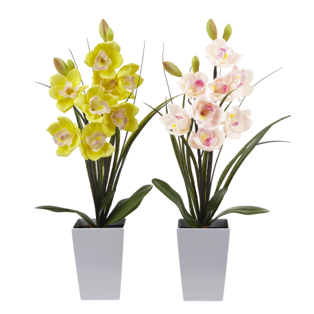 Lampe LED orchidée blanche dans grand pot